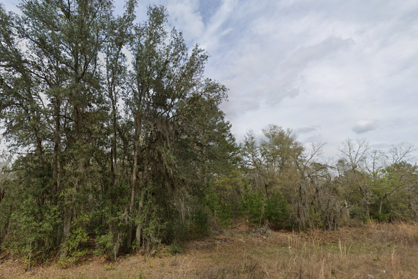 0.22 Acres: The Perfect Location in Putnam, FL for $199/mo.!