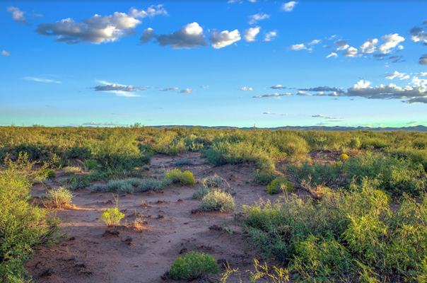 10 Acres of Isolated Texas Property