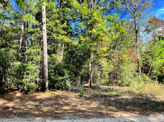 Temporary RV Access in Lake Community: 0.20 Acre for $124/mo