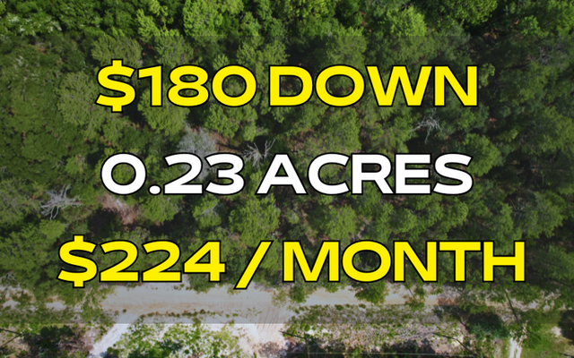 0.23 Ac Investment in Putnam – Nearby Water <strong> <span style='color:red;'><s>$359</s></span></strong> $180 Down!