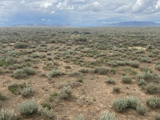 5 Acres, Mountain Views, $169