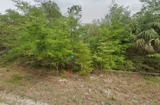 $253/Mo. Pond Access in Satsuma, Florida - 0.24 Acres