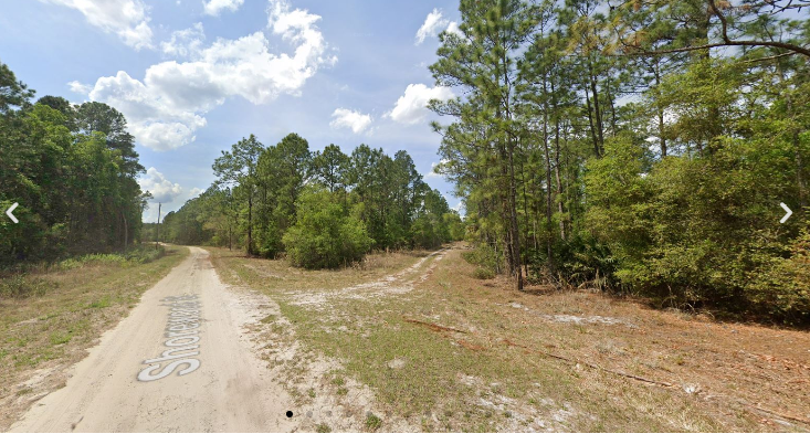 0.23 Acres Wooded Lot Close to Lakes and River, FL- $146/Mo!