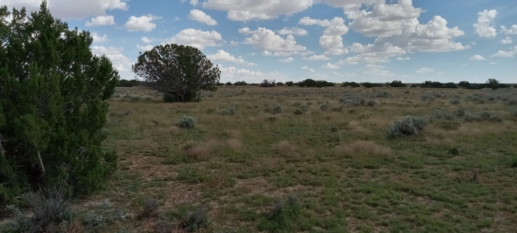 Hidden Jewel! 1.02-Acre Residential Land in AZ $99/Mo.