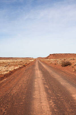 Smart Investment: 1.25 Acres in Navajo County, AZ