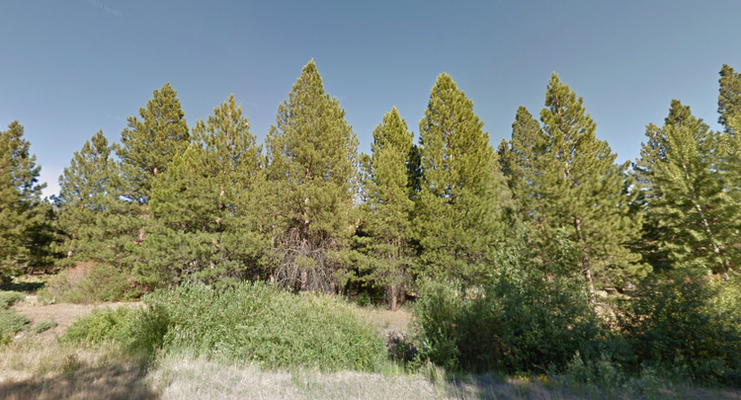 0.19 Acres of BLISS in Modoc County Only $175/monthly