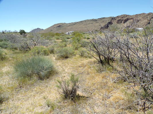 Dream Big - Easy Road Access & Mountain Views near Kingman!