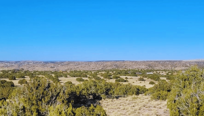 Camp With Your Friends! 1 Acre In Concho, AZ @$145/MO!