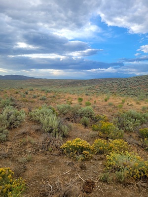 Stop & Listen to the Sounds of Nature !  4.41 Acres in NV