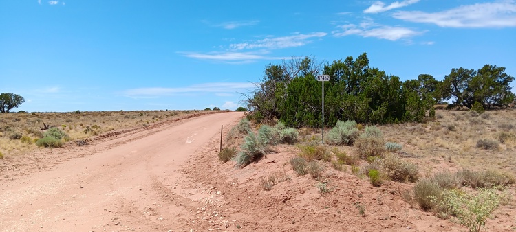 Ready to Feed Your Wanderlust? Check Out 1.24 Acres in AZ