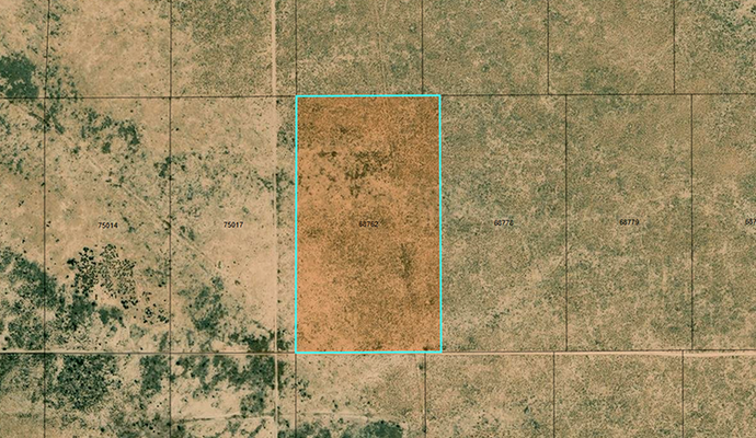 What would YOU do with 23 acres in Hudspeth County, Texas?