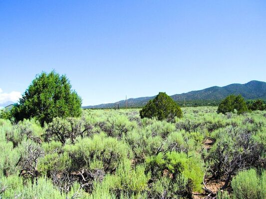 Dream 5 Acres in Costilla,CO  with Power Nearby for $271/Mo.