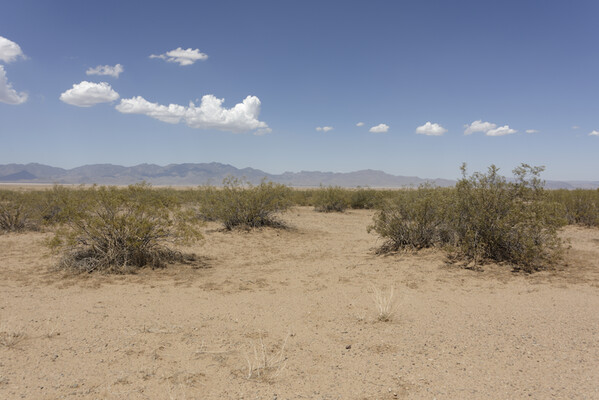 Own Your Off-Road Playground