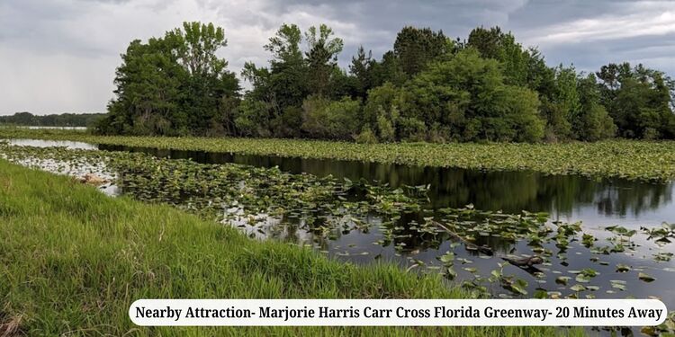 .22 Acres of Flexibility and Serenity in Putnam, FL $200/MO