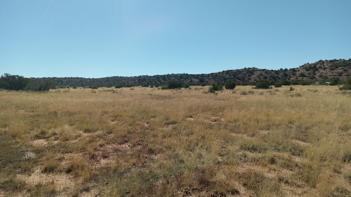 Cabin-ready mountain land for sale in Snowflake, AZ