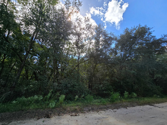 Oversized .65-Acre Lot in Interlachen, FL – Only $500 down!