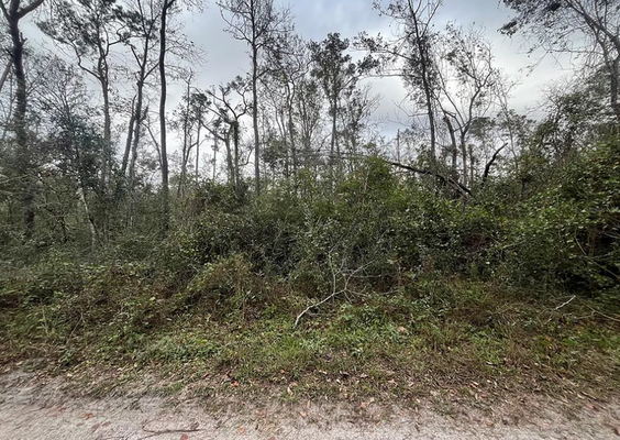 2.45 Acres Near the Suwannee River