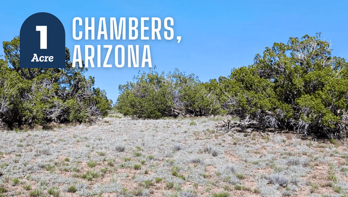 Own Your Future Today! 1.01 Acre In Chambers, AZ @$150/MO!