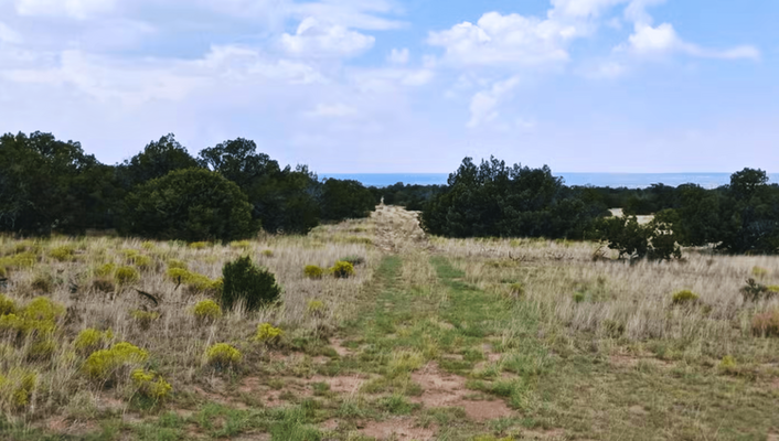 Live Where You Love! 1.04 Acre In Concho, AZ!  W/ Adj. Lot!