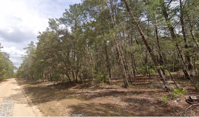 Easy Terms, Big Future! Own Raw Land at $210/Mo!