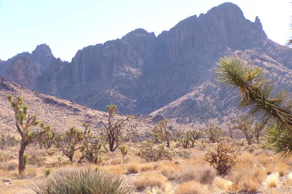 Desert Freedom Calls Power-Ready 1.07 Acres in Mohave County