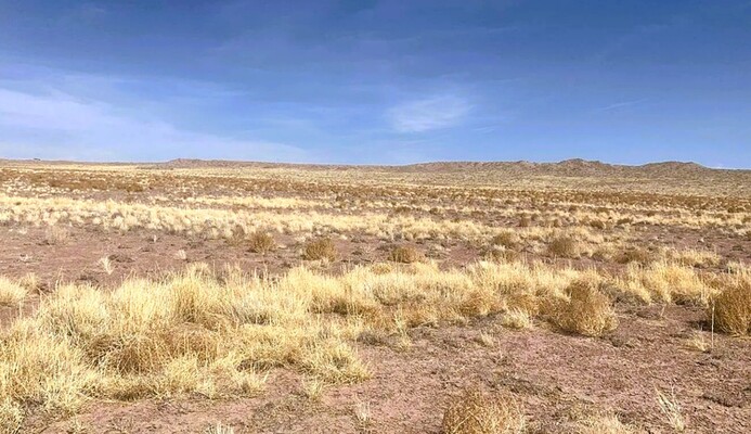 Embrace Off-Grid Living: Stunning 2.51-Acre in Navajo County