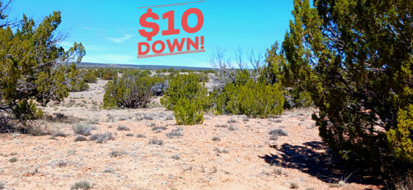 $10 Down New Year Clearance! 1.25 Acres Near St Johns AZ