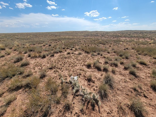 Brand New on the Market - Stunning 1.3 acre in Navajo AZ