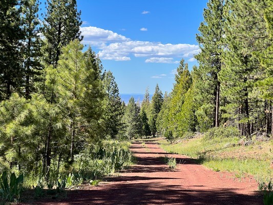 Nearly an Acre, Smooth Dirt Road