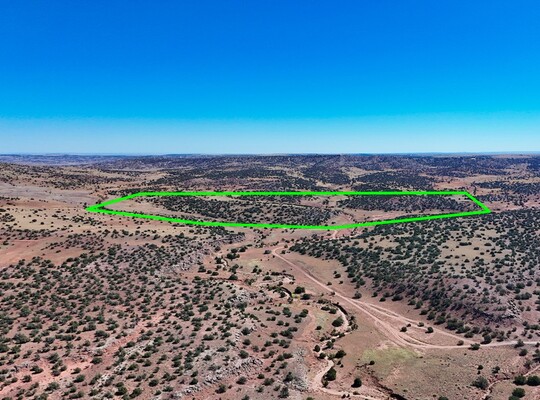 150.9 Acres for Sale in Concho | State Land Border | No POA