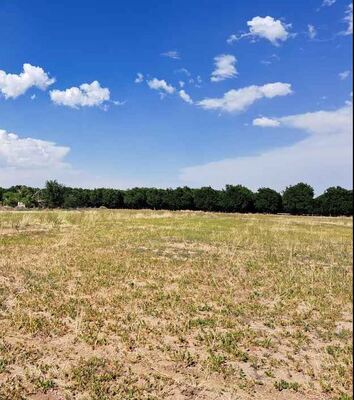 Find Your New Home Today On 0.5 Acres of Land in Luna County, New Mexico Only $75/MO