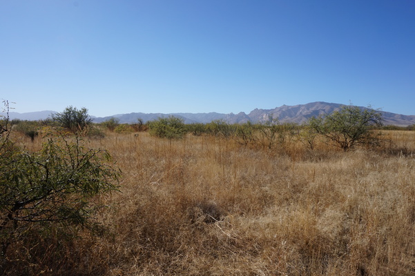 1 Acre in Cactus Wine Country - Willcox, AZ - $3,899 or $150/Mon