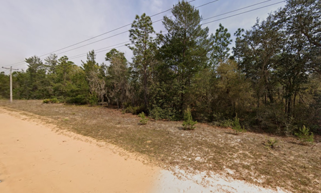 Enchanting Land w/ Power in Interlachen, FL! ONLY $189.00/MO