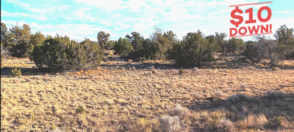 $10 Down January SALE!!! 2.47 Acres near Sanders AZ