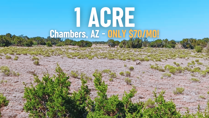 Endless Opportunities Await! 1 Acre In Chambers, AZ @$70/MO!