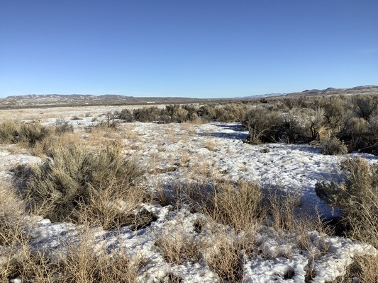 REDUCED HOLIDAY SPECIAL! 2 Acres on the Humboldt River!