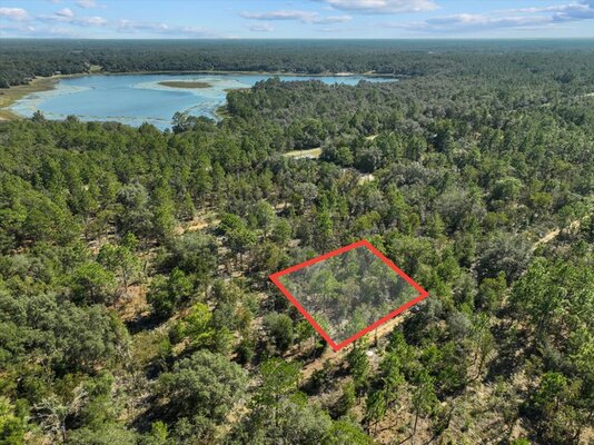 Spacious 0.32-Acre Lot in FL – Perfect for Your Dream Home!