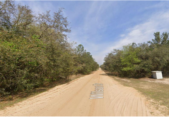 Buy Land in Florida for $231.48 / mo - Invest while you can!