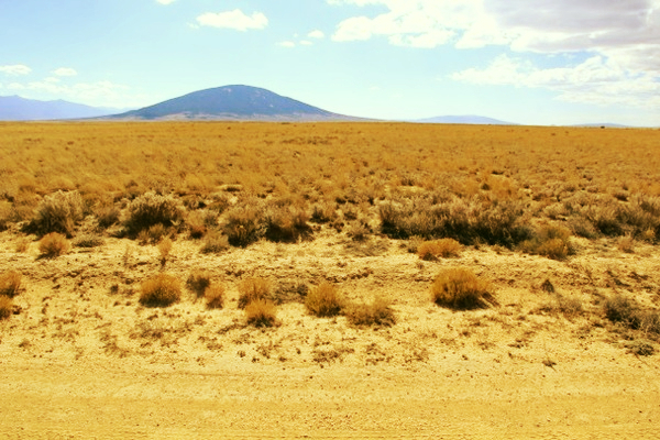 Best Value:5 Acres in San Luis Valley $123/Month