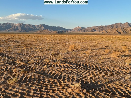 Own Land in AZ - A Gift for Generations to Enjoy!