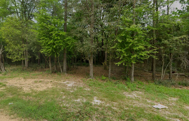 Beautiful Property in Coldspring, TX-No Zoning!