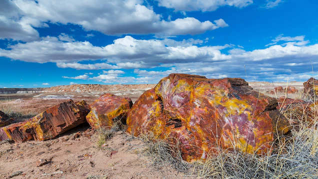 CREATE OFF GRID ADVENTURES!   Your own 1 Acre in Apache County, AZ