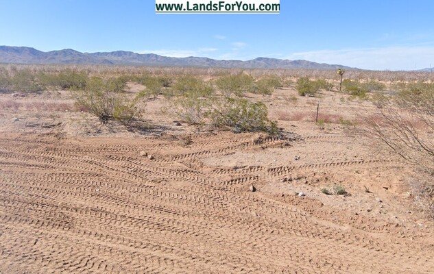 Escape Phoenix! Own a Starry Acre!