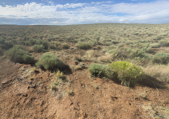 5.05 Acres Haven in Costilla County, CO- $195/MO!