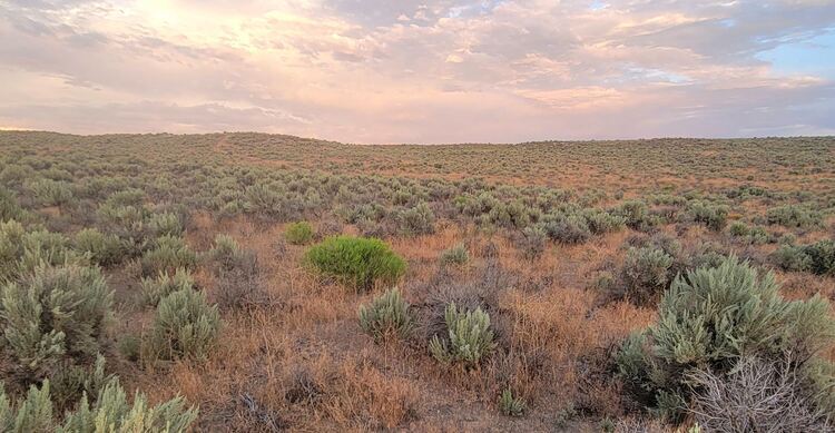 $4,999 Cash for 2 Acres In Elko, NV Near I-80!