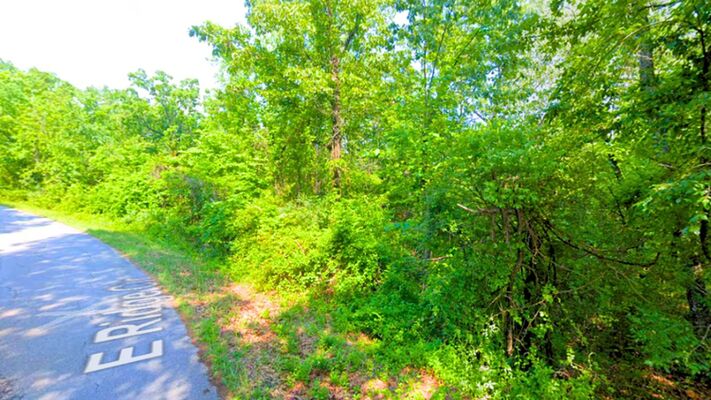 Tranquil 0.22 ac in Horseshoe Bend-with Ozark Views-$69/Mo!