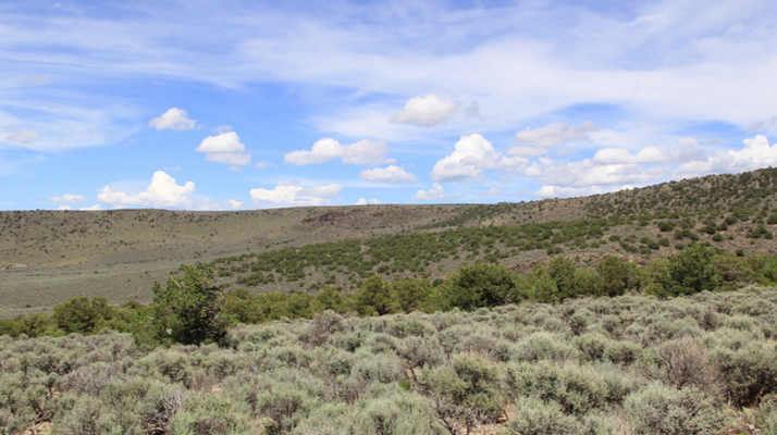 Serene Escape with Mountain Views in CO! $152/Month!