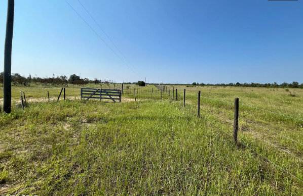 35 Acre Homestead in Altha!