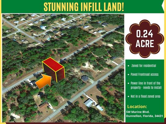 Leveled & Buildable .24 acre lot in Dunnellon, FL!