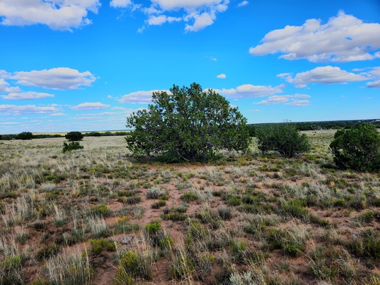 Longing for carefree living on the land? Build your dream country home - just $90/month!!